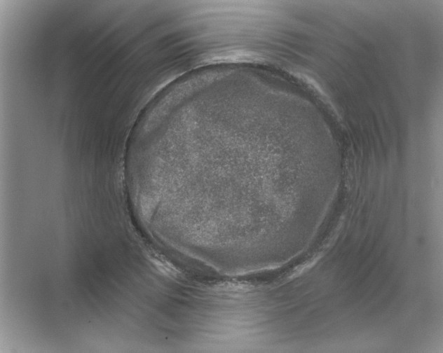 X0000068891073200606021913