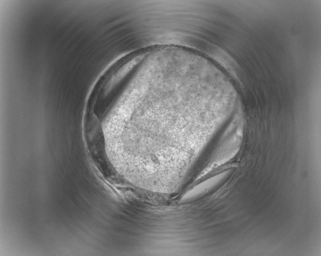 X0000068891076200606021913