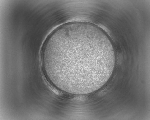 X0000068891078200606021913