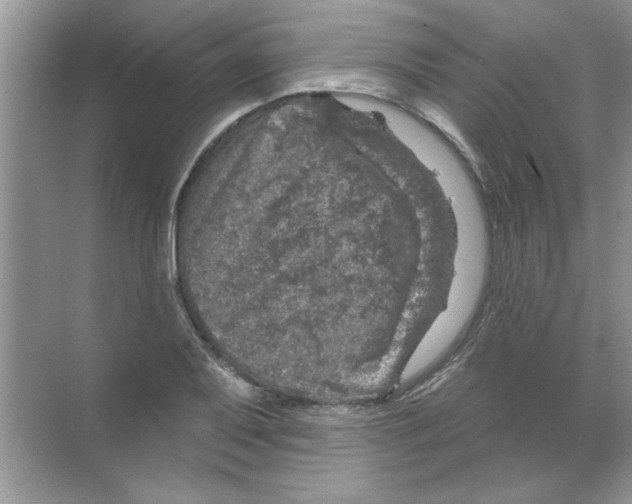 X0000068891079200606021913