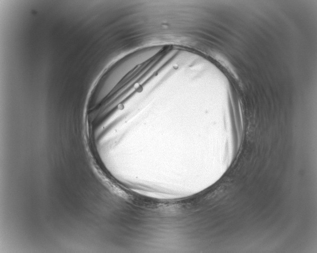 X0000068891080200606021913