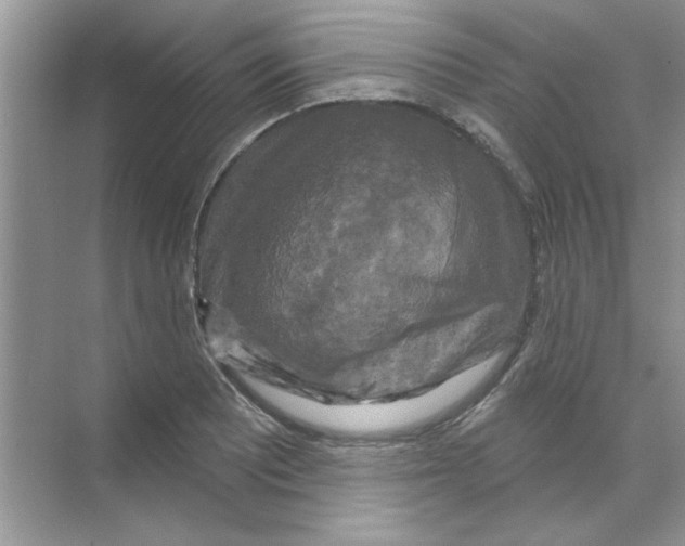 X0000068891081200606021913