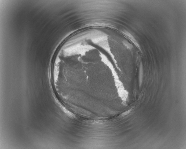 X0000068891084200606021913