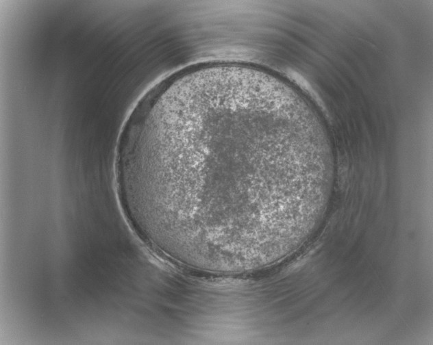 X0000068891085200606021913