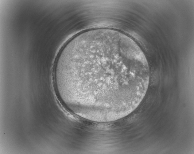 X0000068891086200606021913