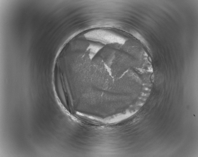 X0000068891088200606021913