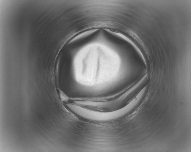 X0000068891089200606021913