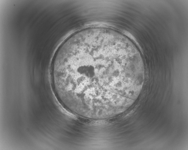 X0000068891090200606021913