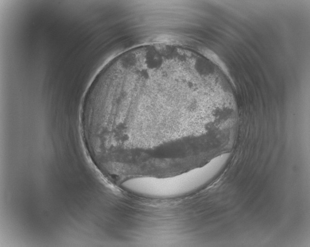 X0000068891091200606021913