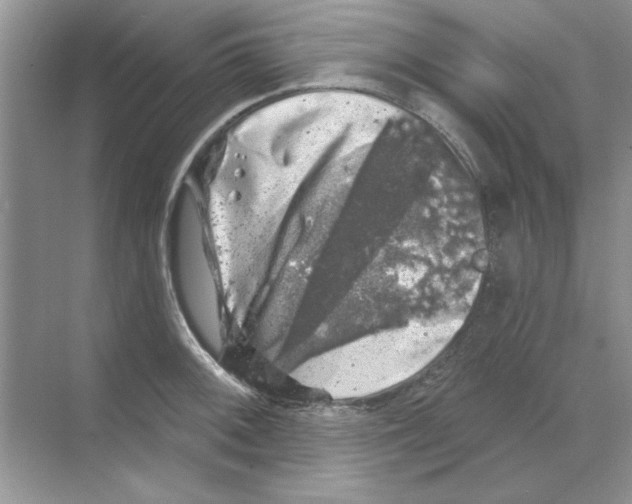 X0000068891092200606021913