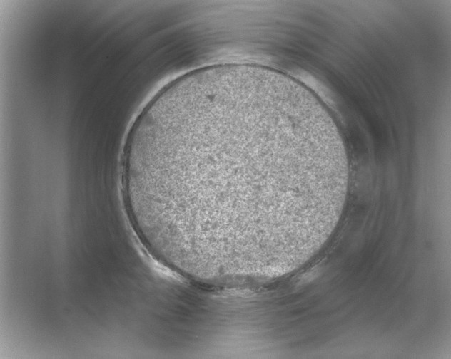 X0000068891094200606021913