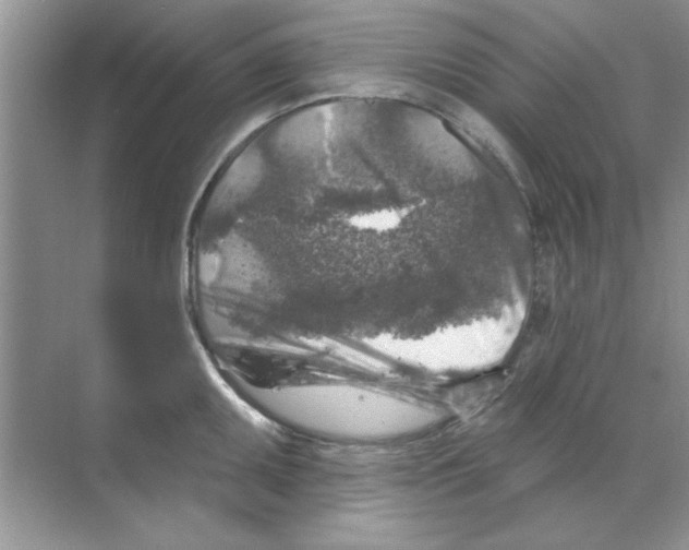 X0000068891095200606021913