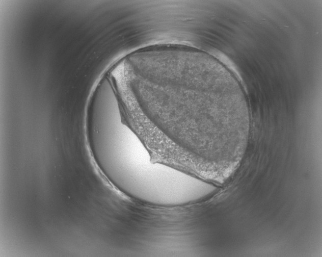 X0000068891096200606021913