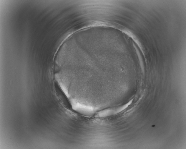 X0000068891097200606021913