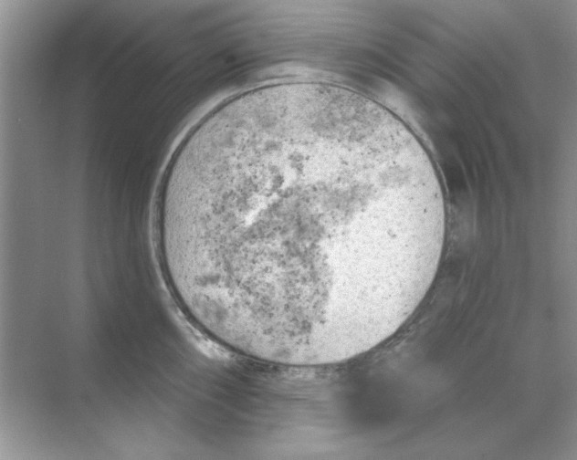 X0000068891098200606021913