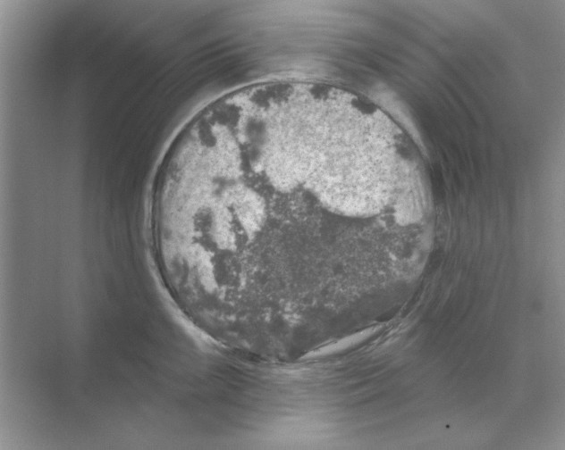 X0000068891099200606021913