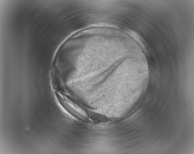 X0000068891100200606021913