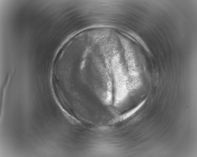 X0000068891101200606021913