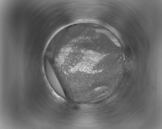 X0000068891102200606021913