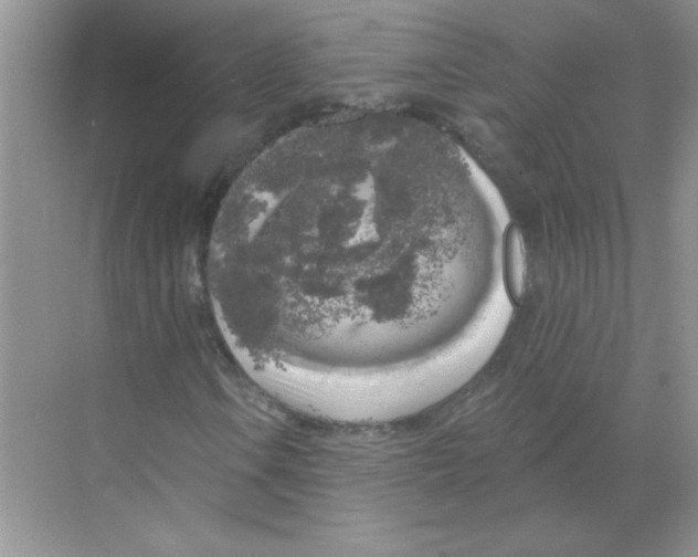 X0000068891106200606021912