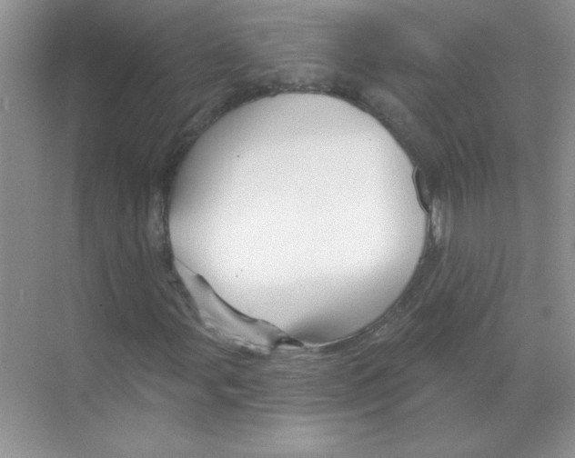 X0000068891107200606021912