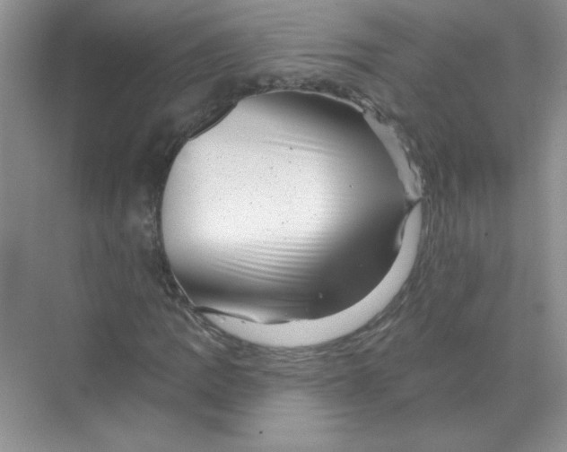 X0000068891109200606021912