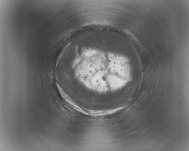 X0000068891110200606021912