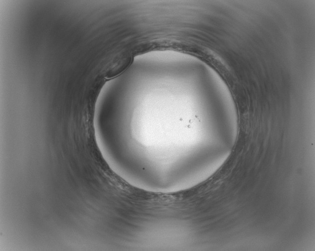 X0000068891111200606021912