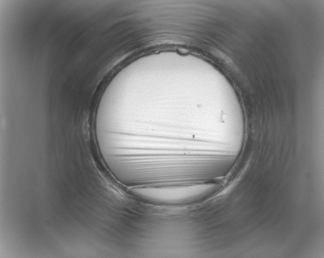 X0000068891113200606021912