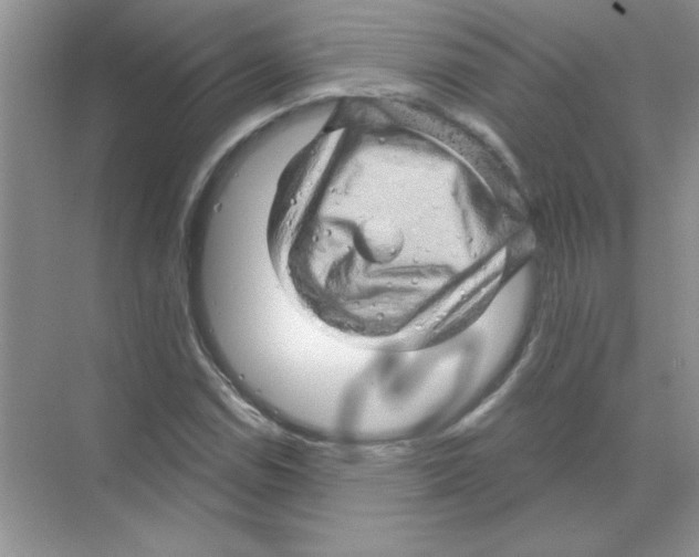 X0000068891114200606021912