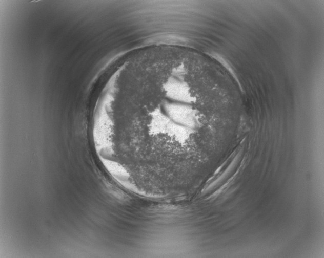 X0000068891115200606021912