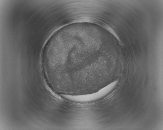 X0000068891116200606021912