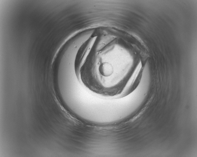 X0000068891118200606021912