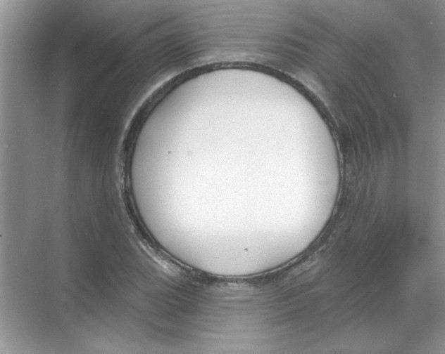 X0000068891119200606021912