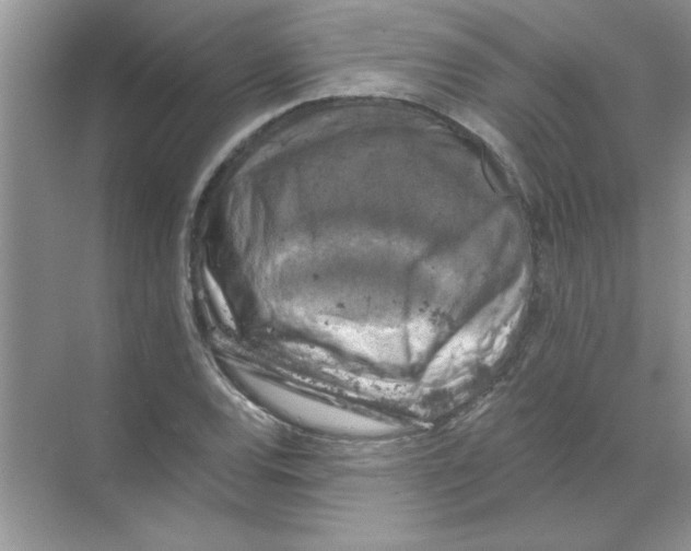 X0000068891120200606021912