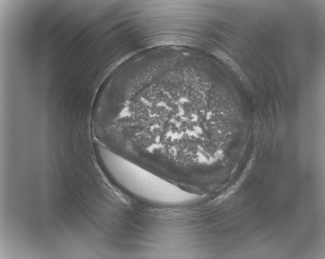 X0000068891121200606021912