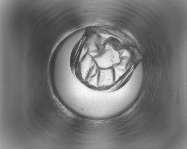 X0000068891122200606021912