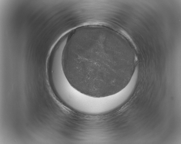 X0000068891124200606021912