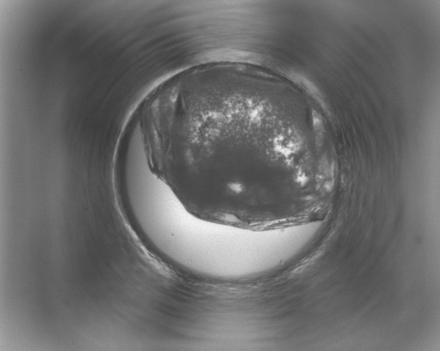 X0000068891125200606021912