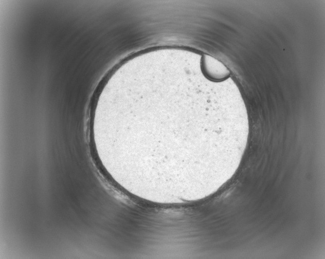 X0000068891126200606021912