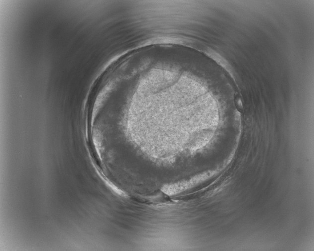 X0000068891127200606021912