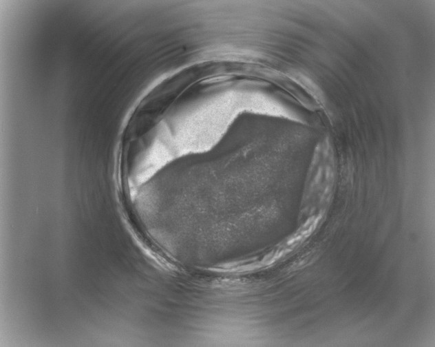 X0000068891128200606021912