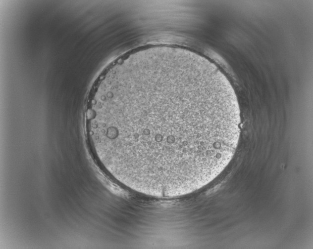 X0000068891130200606021912