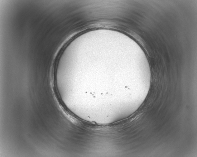 X0000068891131200606021912