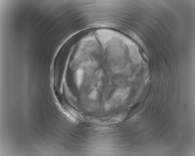 X0000068891132200606021912