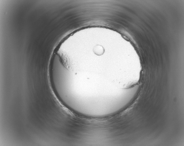 X0000068891133200606021912