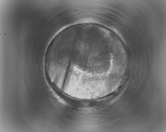 X0000068891134200606021912