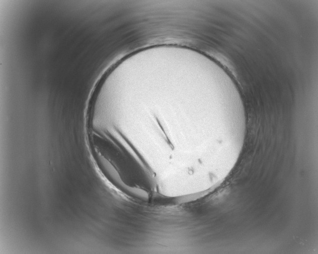 X0000068891135200606021912