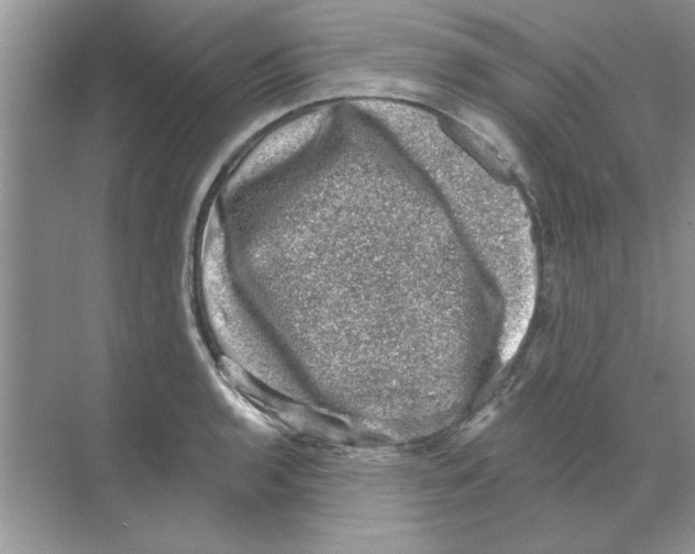 X0000068891136200606021912