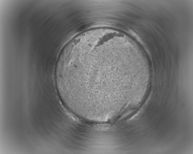 X0000068891137200606021912